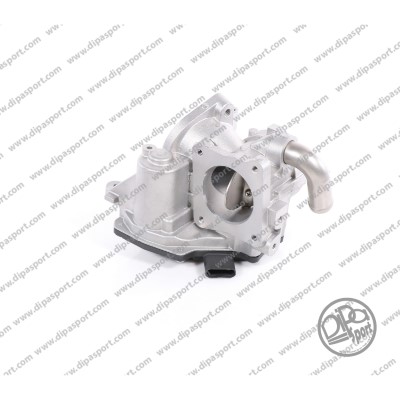 EGR437N