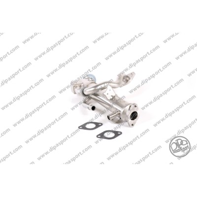 EGR209DPSN