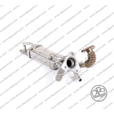 EGR299N