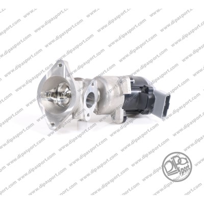 EGR091R