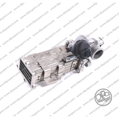 EGR338