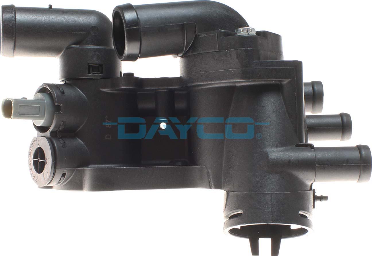 DT244D