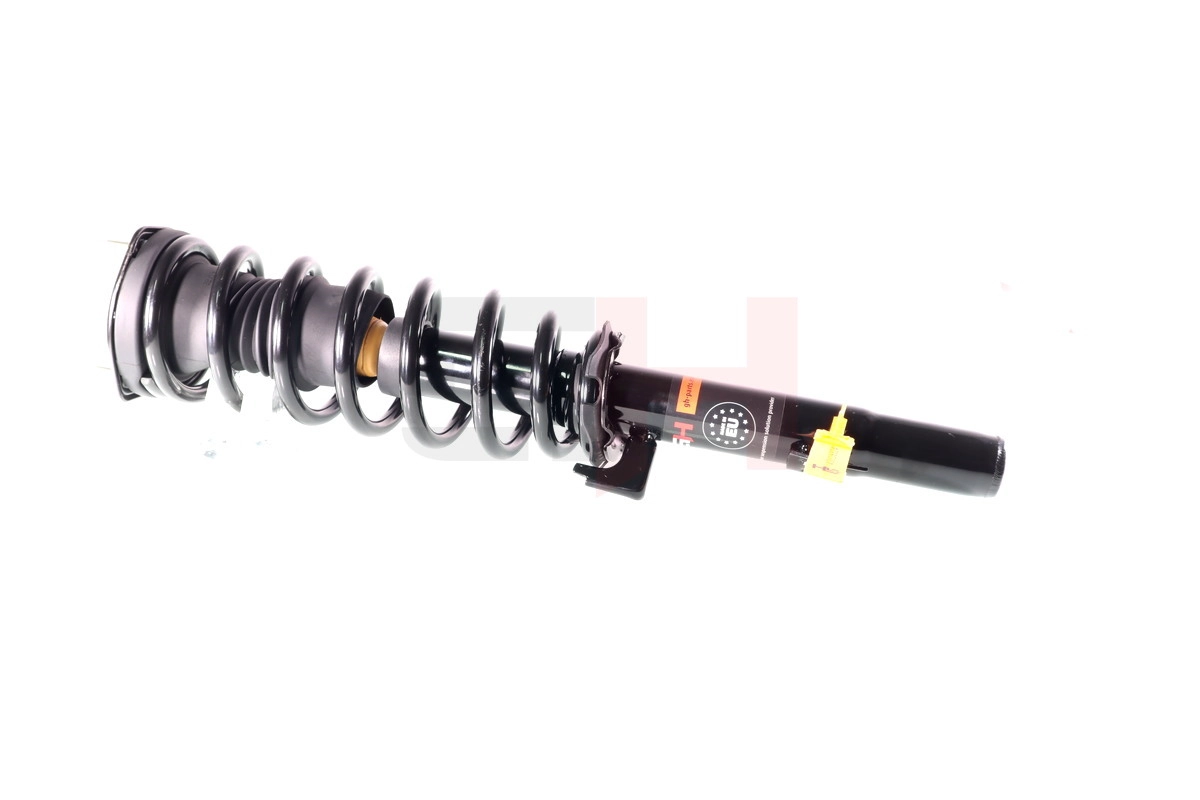 GH-333266C01