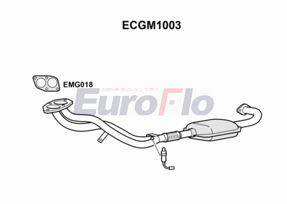 ECGM1003