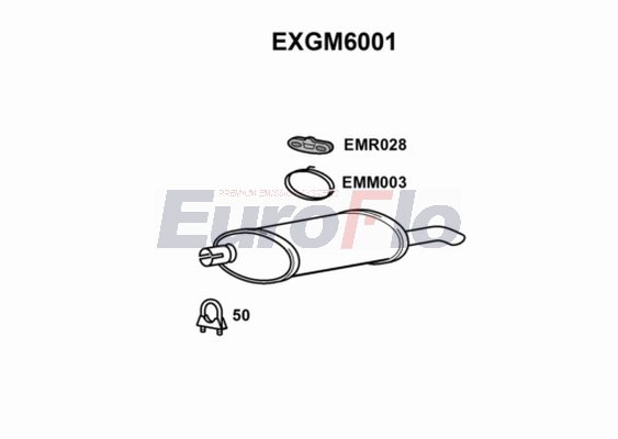 EXGM6001