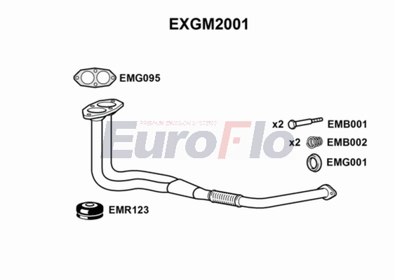 EXGM2001