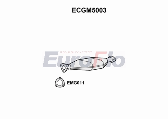 ECGM5003