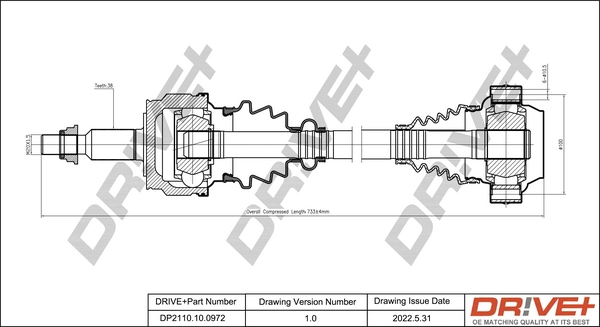 DP2110.10.0972