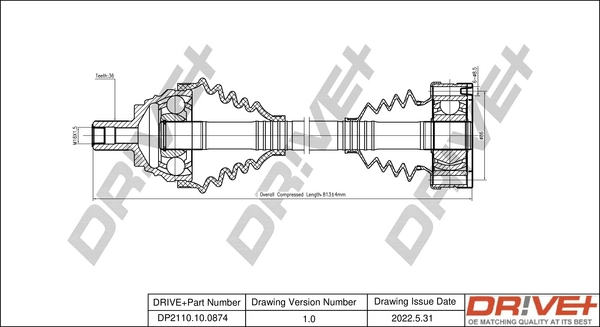 DP2110.10.0874