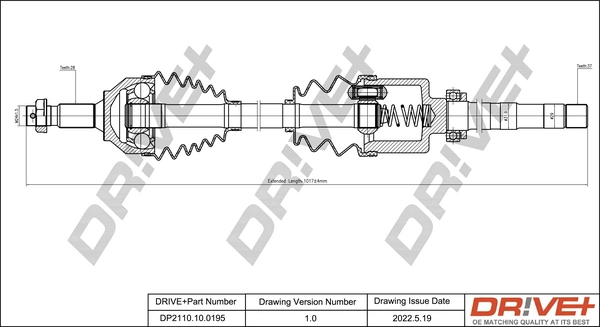 DP2110.10.0195