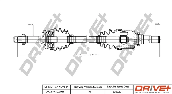 DP2110.10.0919