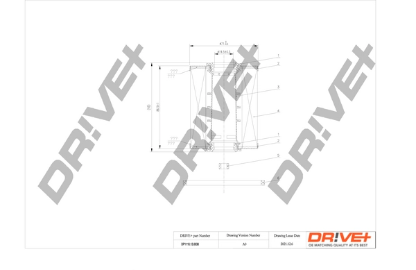 DP1110.13.0038