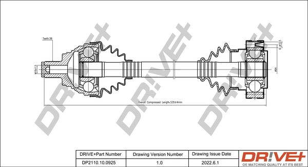 DP2110.10.0925