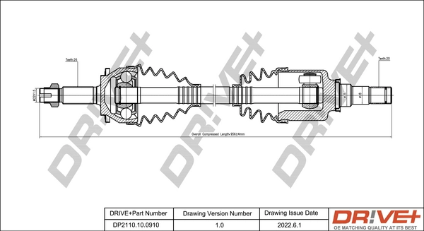 DP2110.10.0910