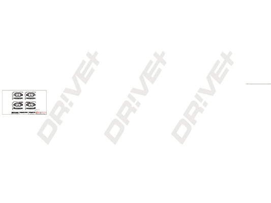 DP1010.10.0221