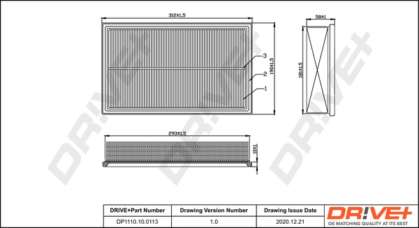 DP1110.10.0113