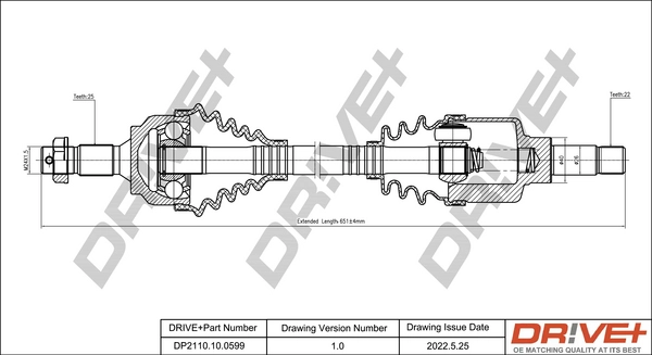 DP2110.10.0599