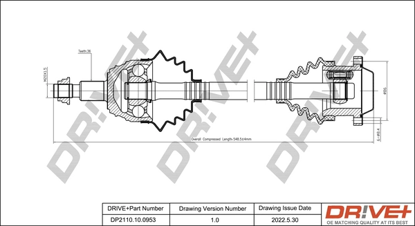 DP2110.10.0953