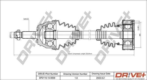 DP2110.10.0939