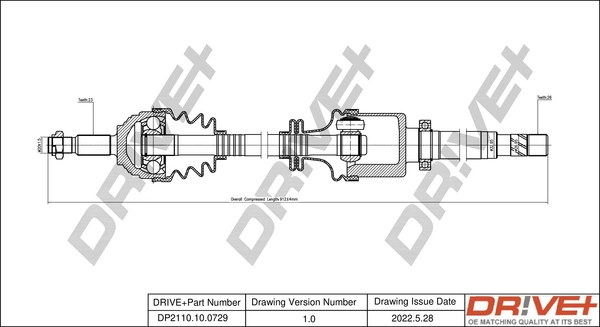 DP2110.10.0729