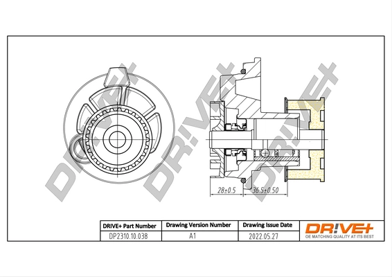 DP2310.10.038