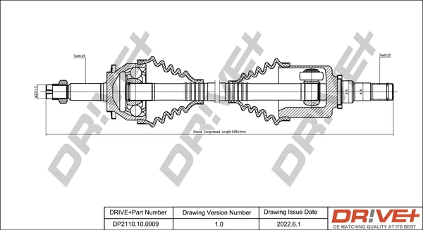 DP2110.10.0909