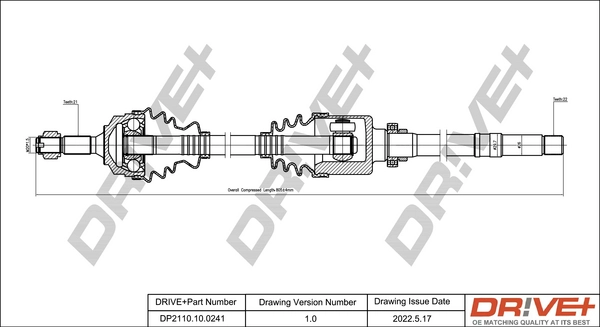 DP2110.10.0241
