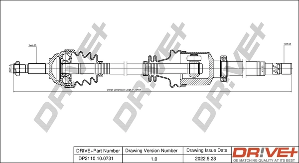 DP2110.10.0731