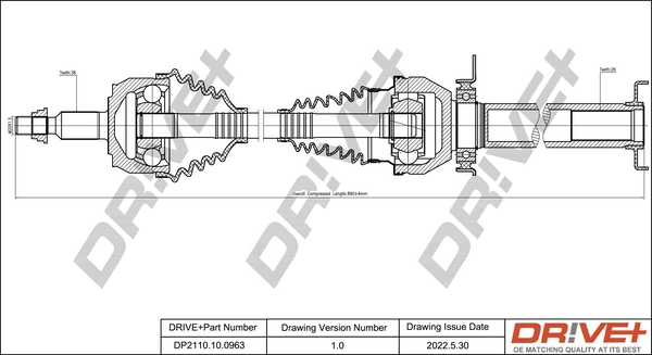 DP2110.10.0963