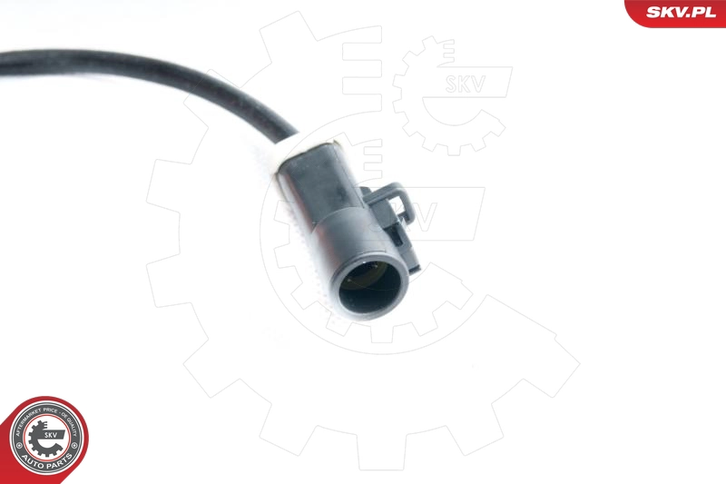 09SKV101