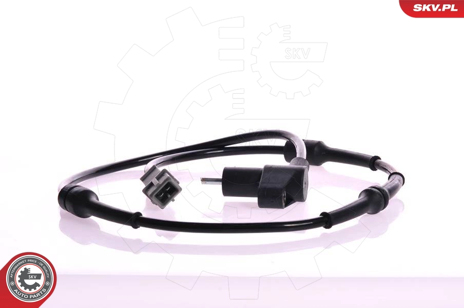 06SKV085