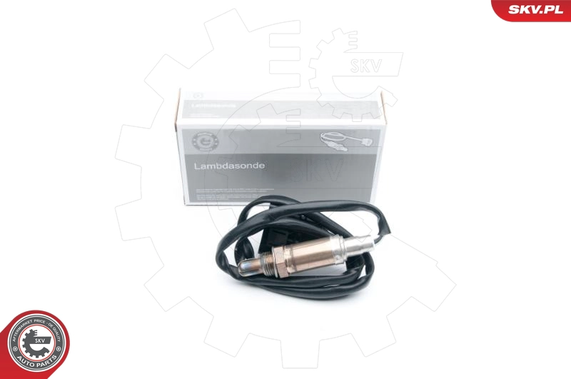 09SKV599