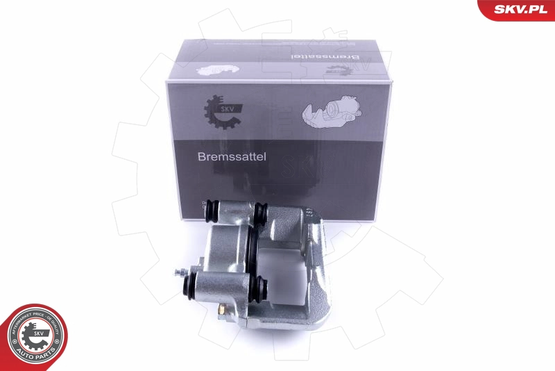 55SKV301