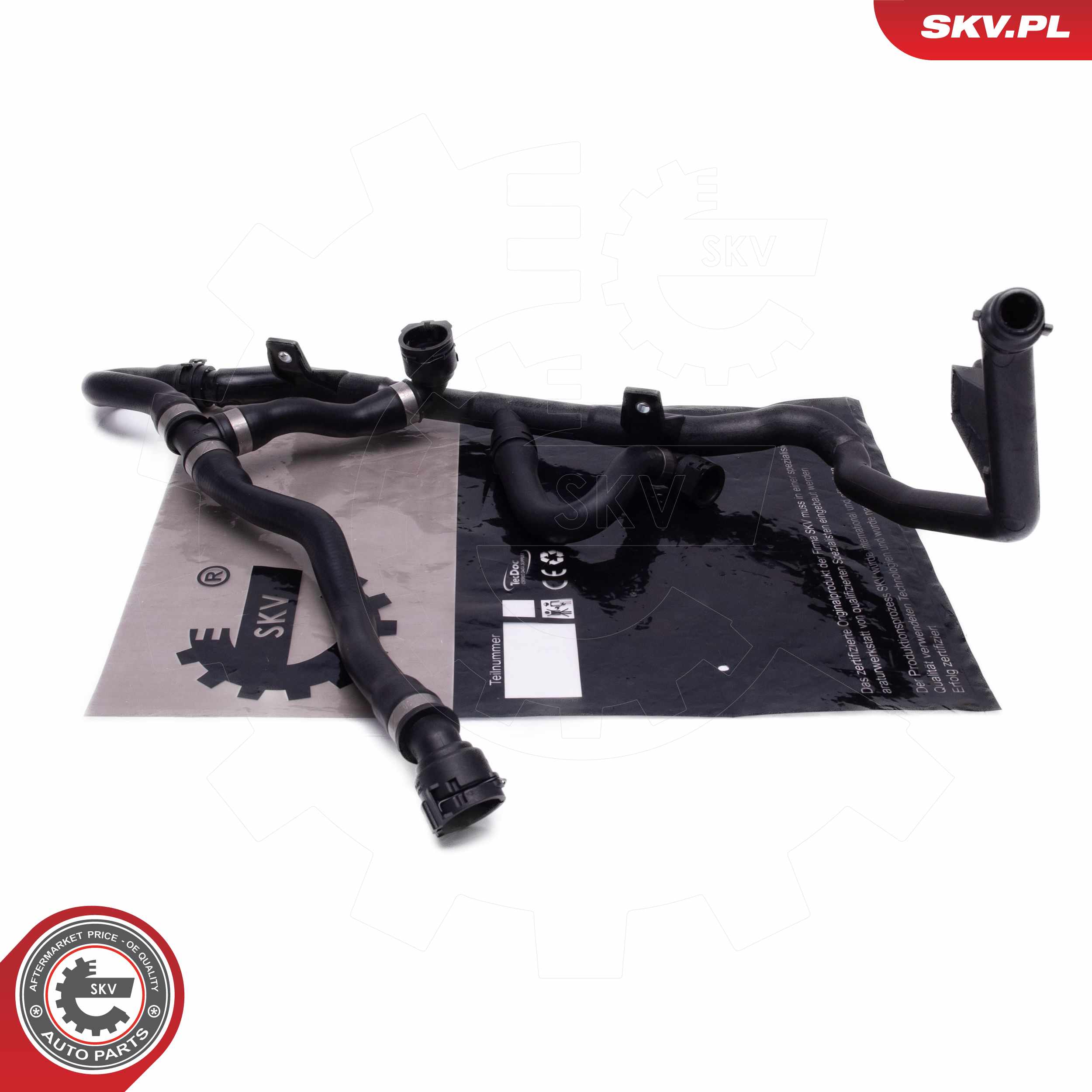 54SKV491