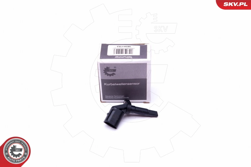 06SKV353
