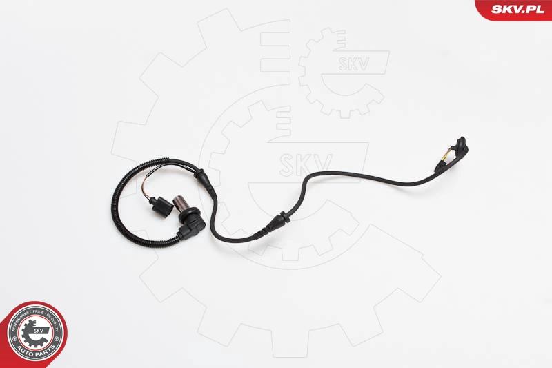 06SKV161