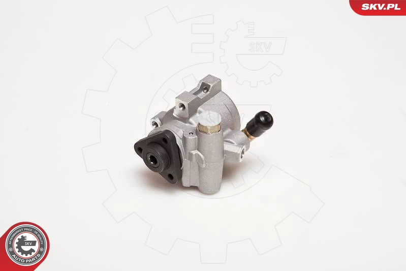 10SKV055
