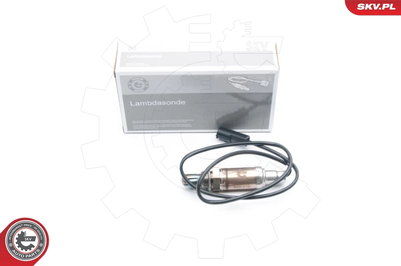 09SKV521