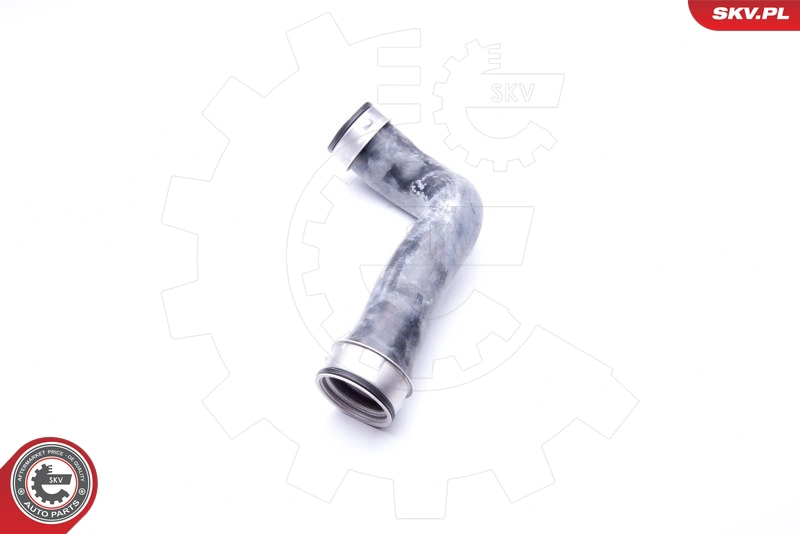 24SKV619