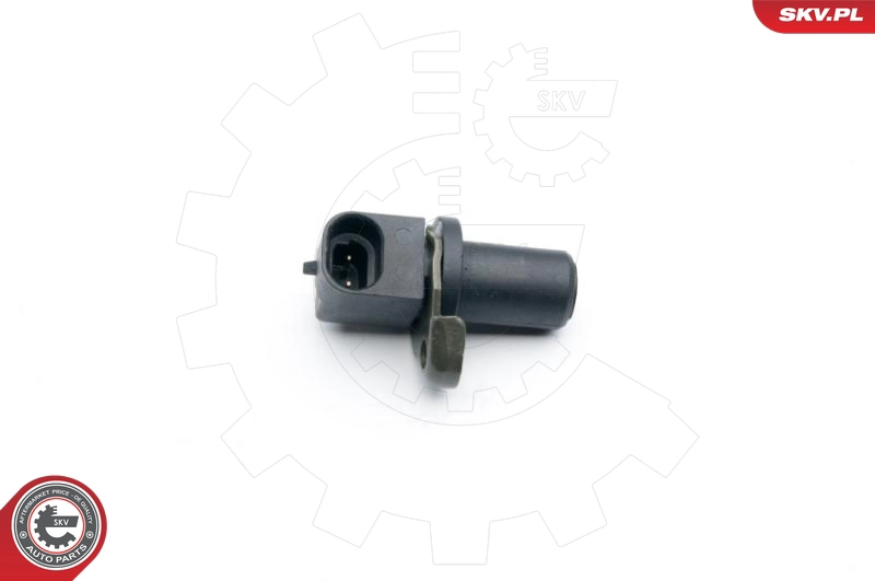 06SKV282