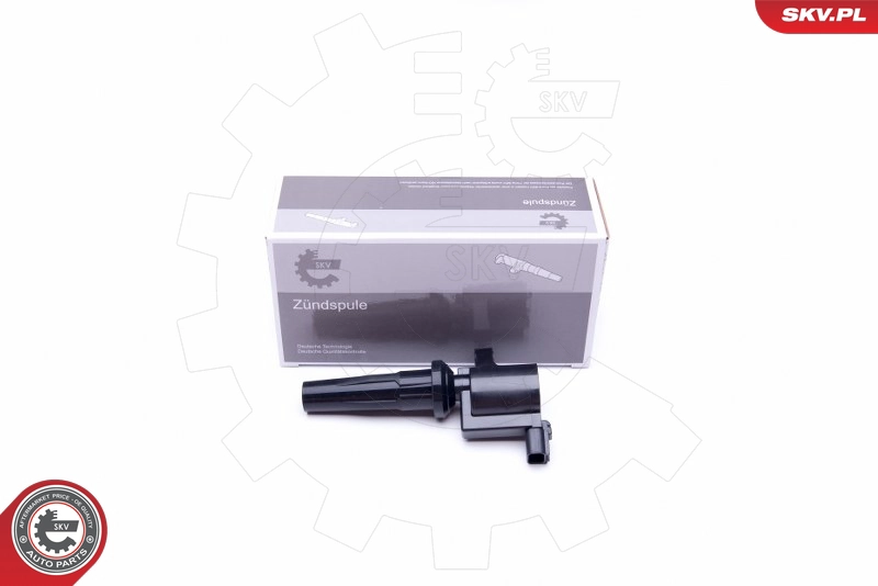03SKV301