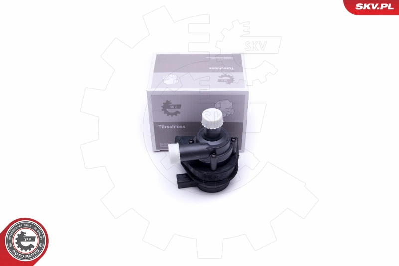 22SKV025