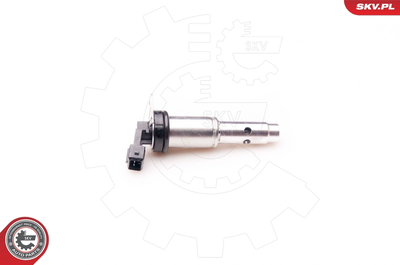 39SKV012