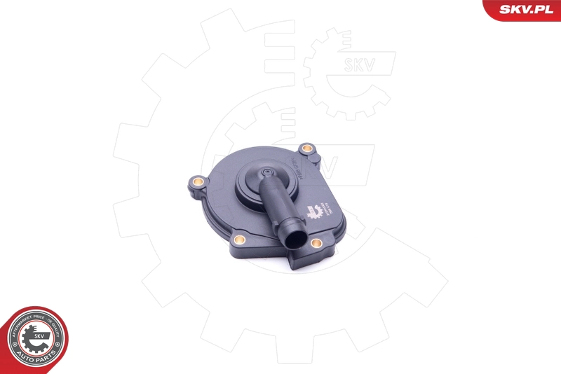 31SKV062