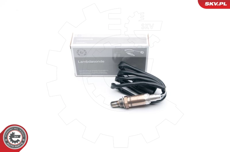 09SKV609