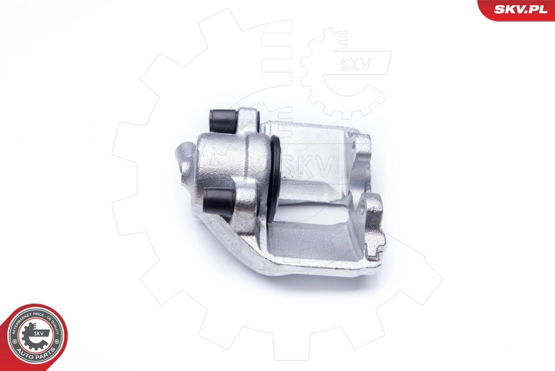 42SKV031