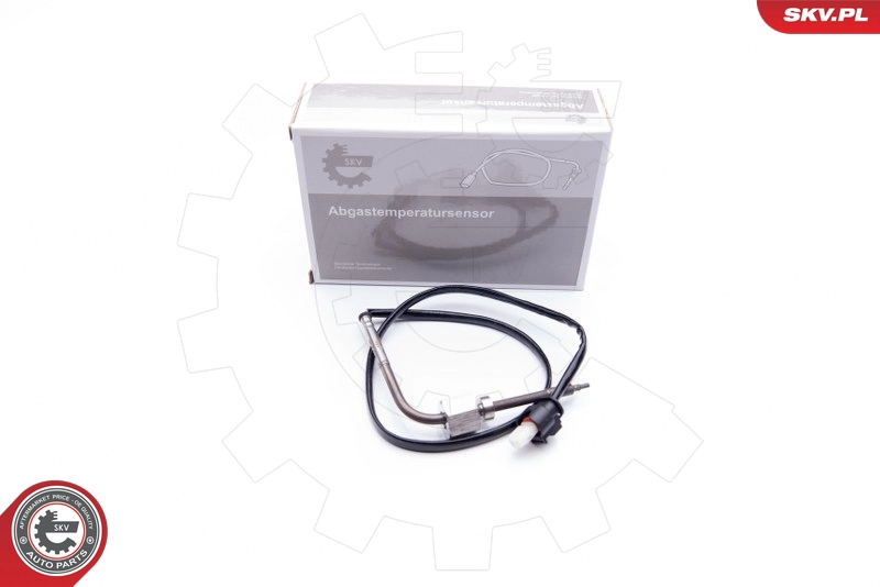 30SKV019