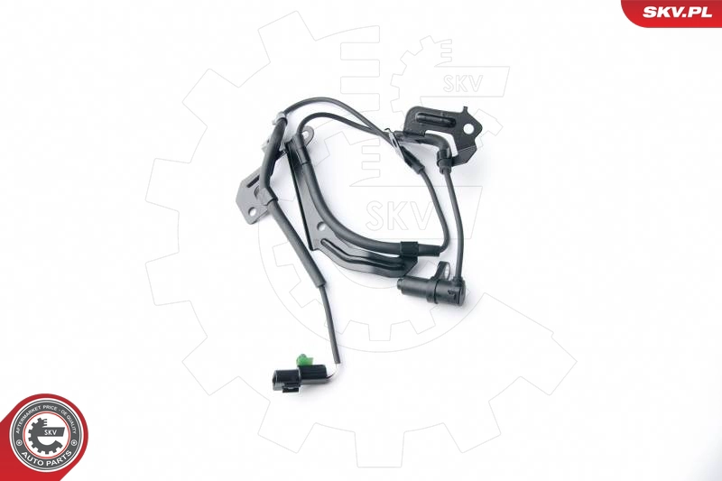 06SKV264