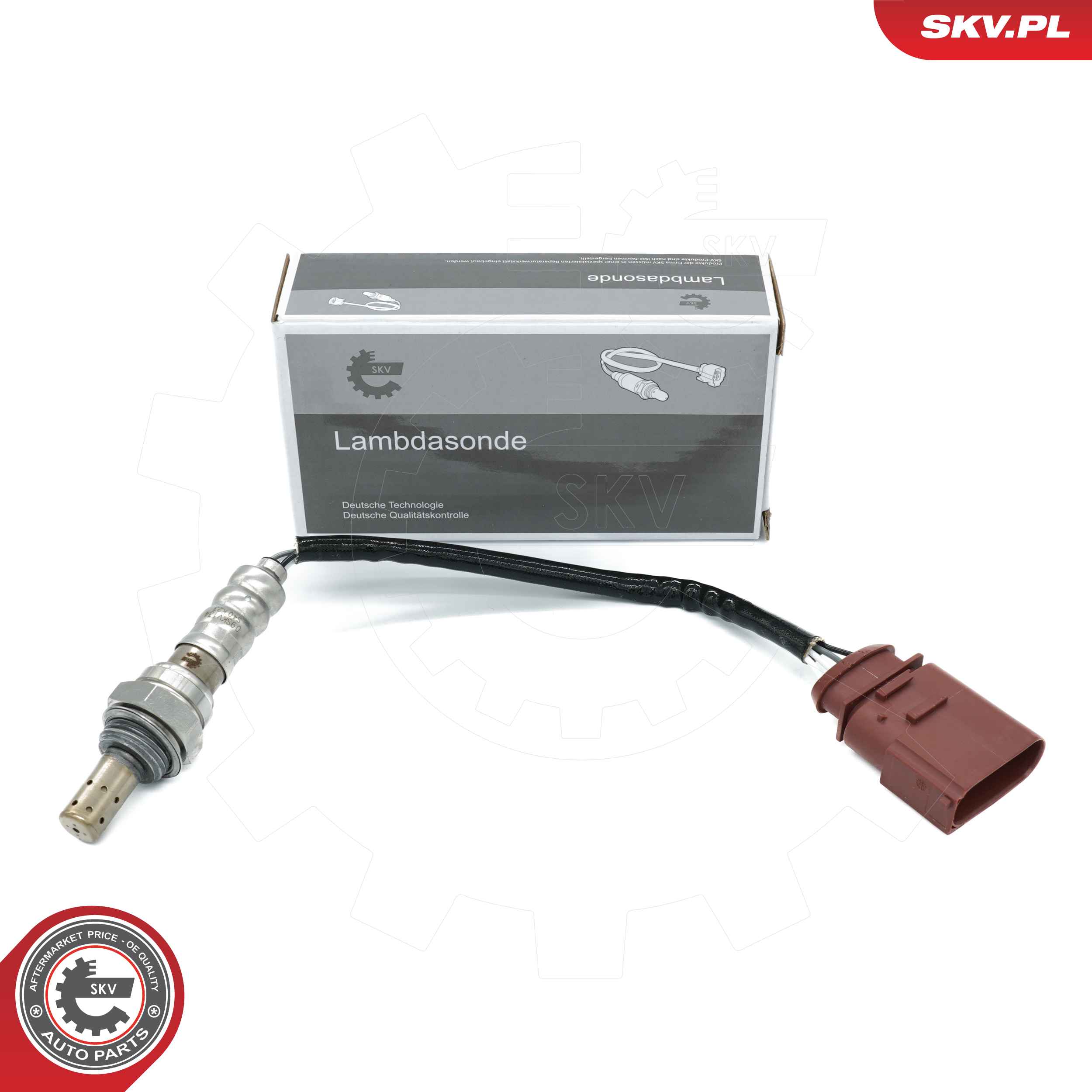 09SKV134