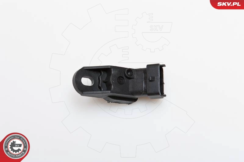 17SKV110